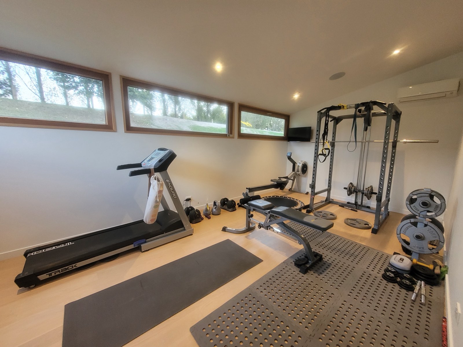 The gym with clerestory windows onto the paddock